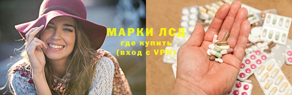 сатива Козловка