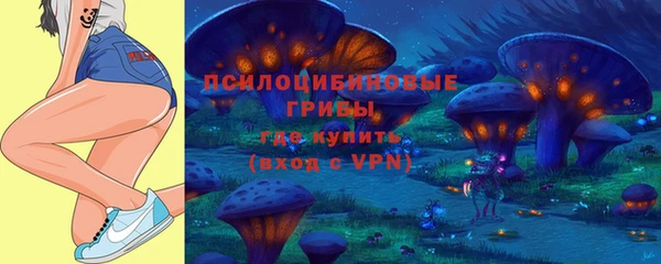 apvp Волоколамск