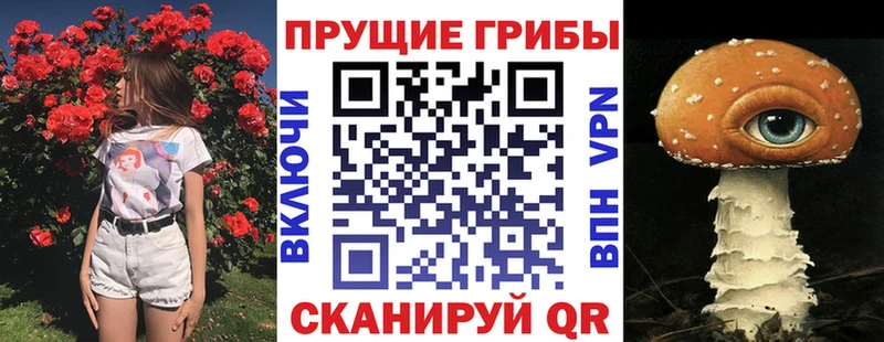 Псилоцибиновые грибы прущие грибы  Избербаш 